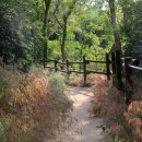 몽여해변 이미지