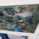 조아수산 이미지