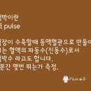 김박사약국 이미지