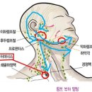 유미테라피 네이버블로그