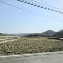 더골드리치공인중개사사무소 이미지