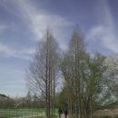 경안천 4 | 경안천습지생태공원 퇴촌 드라이브 코스