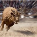 염주골식육식당 이미지