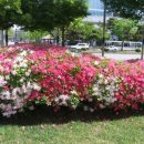 수원올림픽공원 이미지