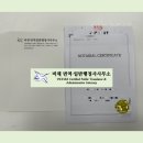 비채 번역일반행정사사무소 이미지