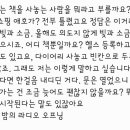 앞으로 나아가는건 조금 늦어도 괜찮다.. 이미지