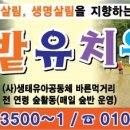 꿈밭유치원 이미지