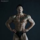%프로&퍼센트