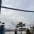 아기동물카페 이미지
