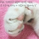 알지비 그라운드 | 어라운드 매거진 AROUND 2014.09_vo.16