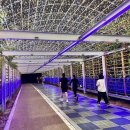 축구센터 산책로 이미지