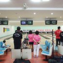 레드폭스 이미지