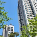 중앙동122 이미지