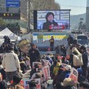 빛나는 3.1절 107주년...평화와 행복의 그날을 위해 이미지
