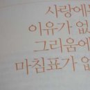 사랑 이미지