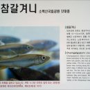 계곡이야기 이미지