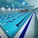 샤크베이레슨전문수영장 이미지