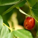 가창중학교 이미지