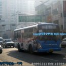 신성동 주민센터 버스정류장 이미지