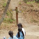 인후공원 유아숲체험원 이미지