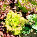 수북좋은약국 이미지