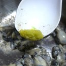 제철 집밥요리 이미지