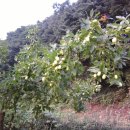 옥산2농장 이미지