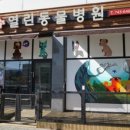 바른 정 동물병원 이미지