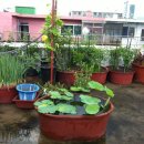 숙희농장 이미지