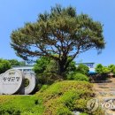 횡성군청 내 이미지