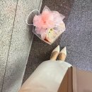 과일바구니 - 북구 | 부모님 첫 인사 선물 고민이라면? 안양 세모담 과일바구니 후기 🍊