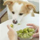 림피드 주식회사 이미지