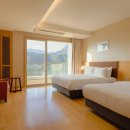 소노캄 델피노 A . B 이미지