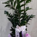 주안꽃화원