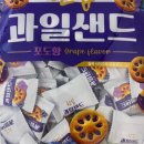 하루샌드 이미지