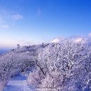 섬진주유소 이미지