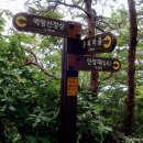 월평 삼거리 이미지