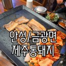 금광초등학교 | [안성 금광면] 제주통돼지 금광점 – 동네 주민들만 아는 찐 고기집 🍖💛