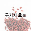 구기자 효능 및 효과 알아보기 이미지