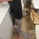 취향저견 이미지