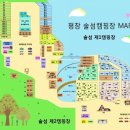 솔섬오토캠핑장 티스토리