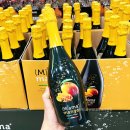 코스트코 신상 마마 망고 무스카토 가격 &amp; 미모사 프로세코 와인 종류