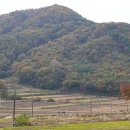 백운면행정복지센터 이미지