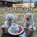 [오송/위우드커피] 야외 오프리쉬 가능한 청주실내애견동반카페, 수플레 맛집 후기 내돈내산!!