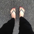 돈껍데기 이미지