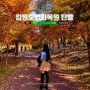 강원도립화목원 | 강원도 단풍 드라이브 춘천 강원도립화목원 국화 축제