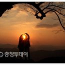 부여(임천)-12 이미지