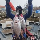 욕지바다낚시 네이버블로그