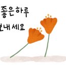 연두사과 이미지
