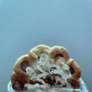 44 | [여행기록] 9/7-8 대전 성심당, 성심당 부띠끄, 상소동 산림욕장, 디스비 카페